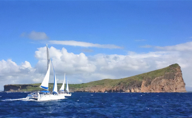 Full Day Catamaran cruise to the Northern Island